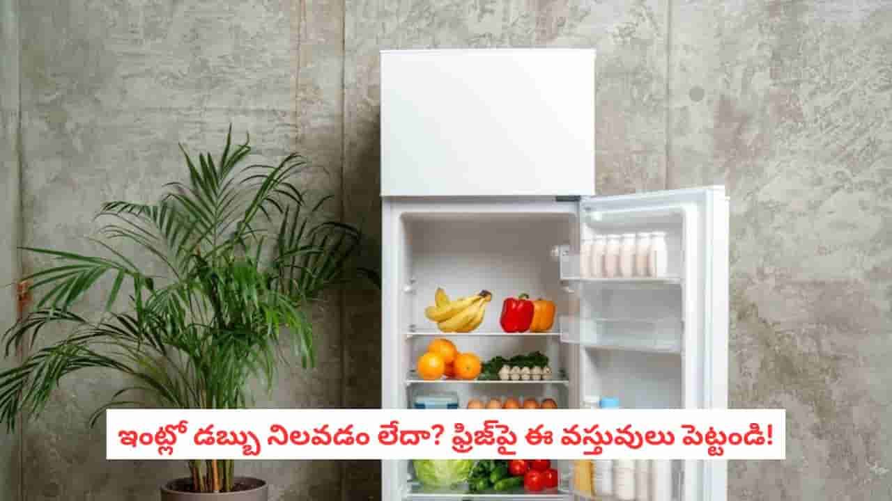 Vastu Tips: ఫ్రిజ్పై ఖాళీ డబ్బాలు, పాత వస్తువులు వద్దు.. ఇవి పెడితే ధన ప్రవాహం!