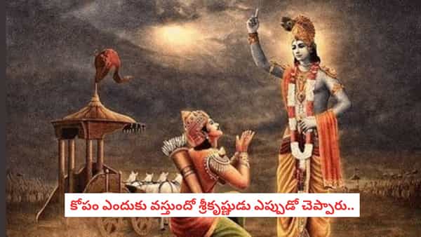 Bhagavad Gita: కోపం వచ్చినప్పుడు ఈ 3 విషయాలు గుర్తు చేసుకోండి.. మనసు ప్రశాంతంగా మారుతుందట!