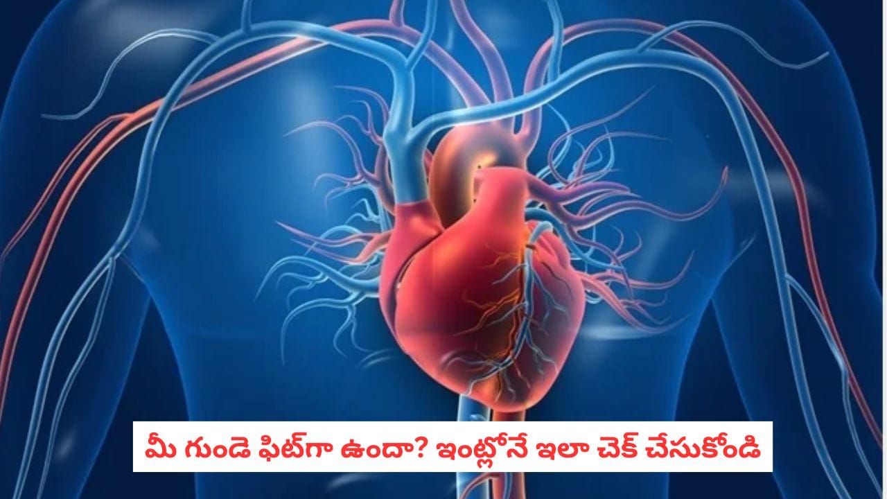 Heart Health Tips: 5 నిమిషాలు చాలు.. మీ గుండె ఫిట్గా ఉందో లేదో తెలుసుకోండి!