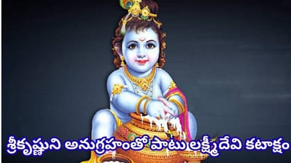శ్రీకృష్ణునికి ఇష్టమైనవి ఇవే.. జన్మాష్టమికి ఈ వస్తువులను ఇంటికి..