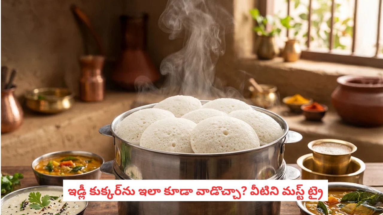 Idli Maker Stand Uses: ఇడ్లీ మేకర్తో ఇడ్లీలు మాత్రమేనా? ఏమేం చేయొచ్చో తెలిస్తే ఆశ్చర్యపోతారు!