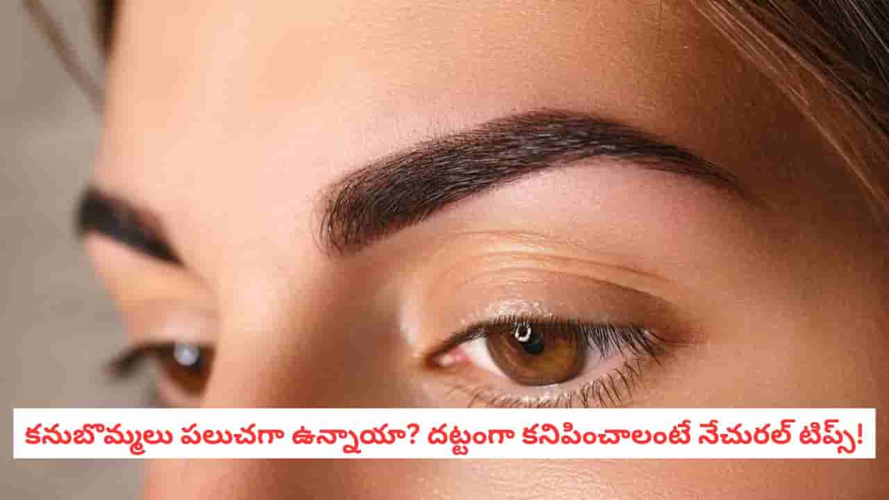 Eyebrow Growth Tips: కనుబొమ్మలు ఎందుకు పలుచబడతాయో తెలుసా? దట్టంగా కనిపించాలంటే ఇలా చేయండి!