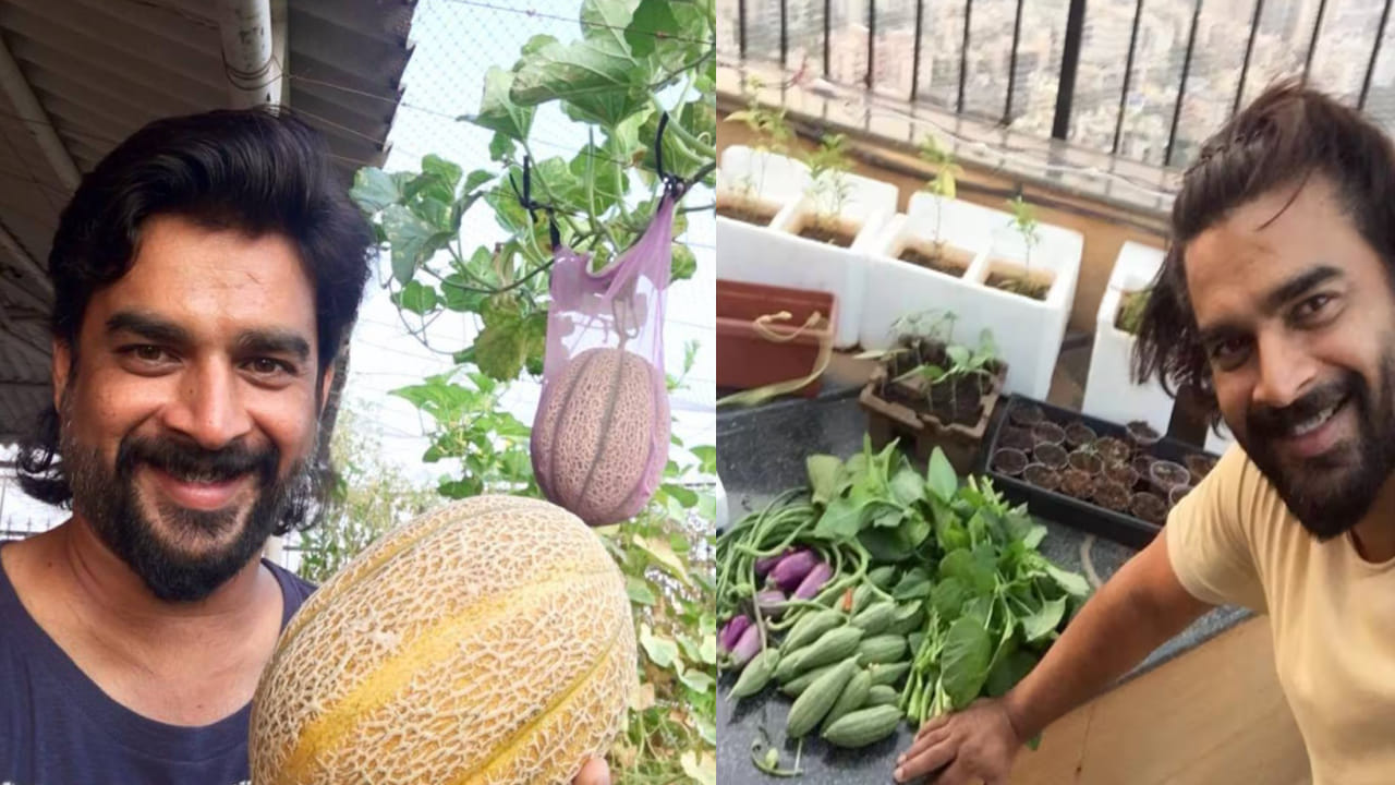 Video: వావ్.. 5శాతం నీటితో మేడపై 70శాతం కూరగాయల సాగు.. నటుడు మాధవన్ టెర్రస్ గార్డెన్ సీక్రెట్స్ తెలిస్తే..