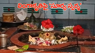 ప్రకృతి పరమేశ్వరుడిని ఆరాధించే దృశ్యం.. ఒళ్లు గగుర్పాటుకు గురి చేసే అనుభూతి..!