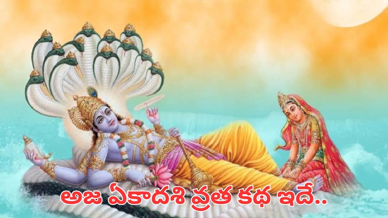 Aja Ekadashi: అజ ఏకాదశి రోజు తులసితో ఈ 3 పనులు చేయండి.. సిరిసంపదలు మీ ఇంట కొలువుదీరతాయి!