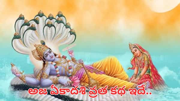 Aja Ekadashi: అజ ఏకాదశి రోజు తులసితో ఈ 3 పనులు చేయండి.. సిరిసంపదలు మీ ఇంట కొలువుదీరతాయి!