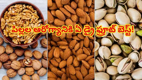 బాదం, వాల్నట్స్ లేదా పిస్తా.. పిల్లల ఆరోగ్యానికి ఏ డ్రై ఫ్రూట్ అత్యుత్తమమైనది? నిపుణుల సలహా!