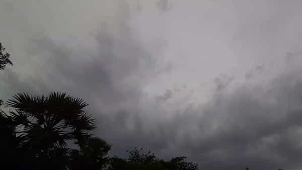Andhra Weather: ఏపీలో వర్ష సూచన.. పలు జిల్లాల్లో పిడుగులు