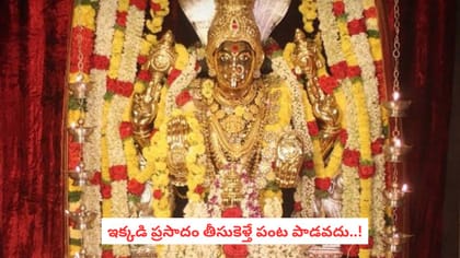 ఇక్కడి ప్రసాదం తీసుకెళ్తే పంట పాడవదు..!