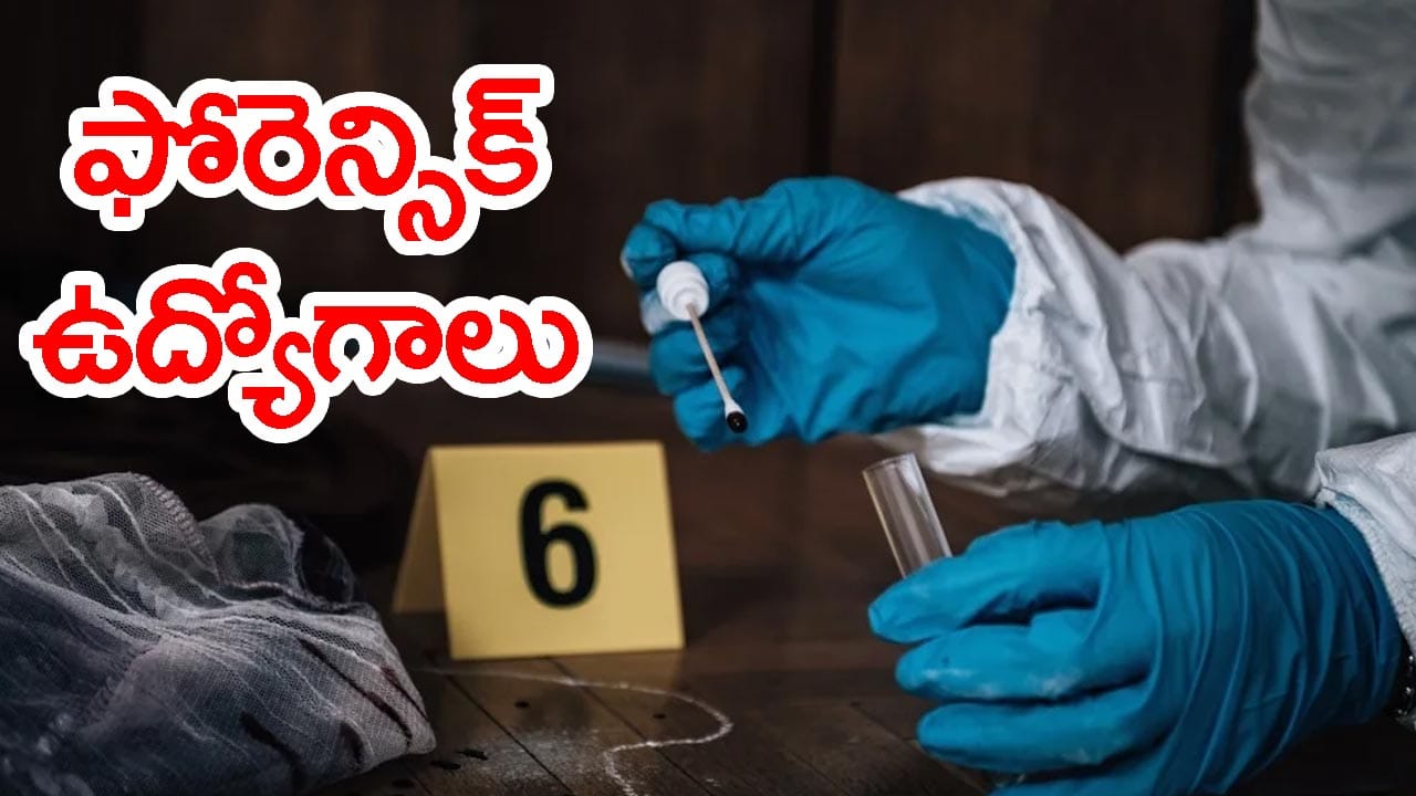ఏపీ SLPRBలో ఫోరెన్సిక్ సైన్స్ లాబొరేటరీ ఉద్యోగాలు.. ఎంపికైతే నెలకు రూ.1,27,480 జీతం
