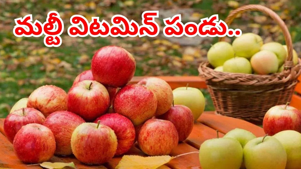 నేచర్ డాక్టర్.. యాపిల్ పండు గురించి మీకు తెలియని నిజాలు..