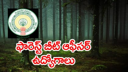 ఇంటర్ అర్హతతో ప్రభుత్వ ఉద్యోగాలు.. నవంబర్ 5 వరకు దరఖాస్తులు