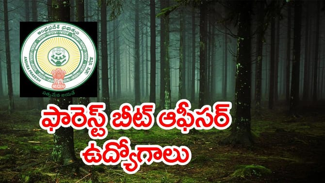 ఇంటర్ అర్హతతో ప్రభుత్వ ఉద్యోగాలు.. నవంబర్ 5 వరకు దరఖాస్తులు