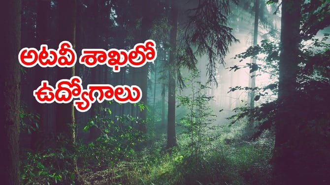 APPSC ఫారెస్ట్ రేంజ్ ఆఫీసర్ ఉద్యోగాలు.. నెలకు రూ.లక్షన్నర జీతం