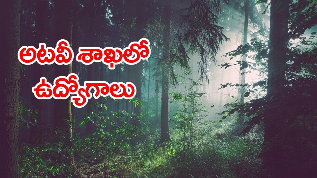 APPSC ఫారెస్ట్ రేంజ్ ఆఫీసర్ ఉద్యోగాలకు నోటిఫికేషన్.. నవంబర్ 5 వరకు దరఖాస్తులు! నెలకు రూ.లక్షన్నర జీతం