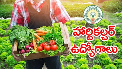 నెలకు రూ.1.40 లక్షల జీతంతో APPSCలో హార్టికల్చర్ ఆఫీసర్ ఉద్యోగాలు