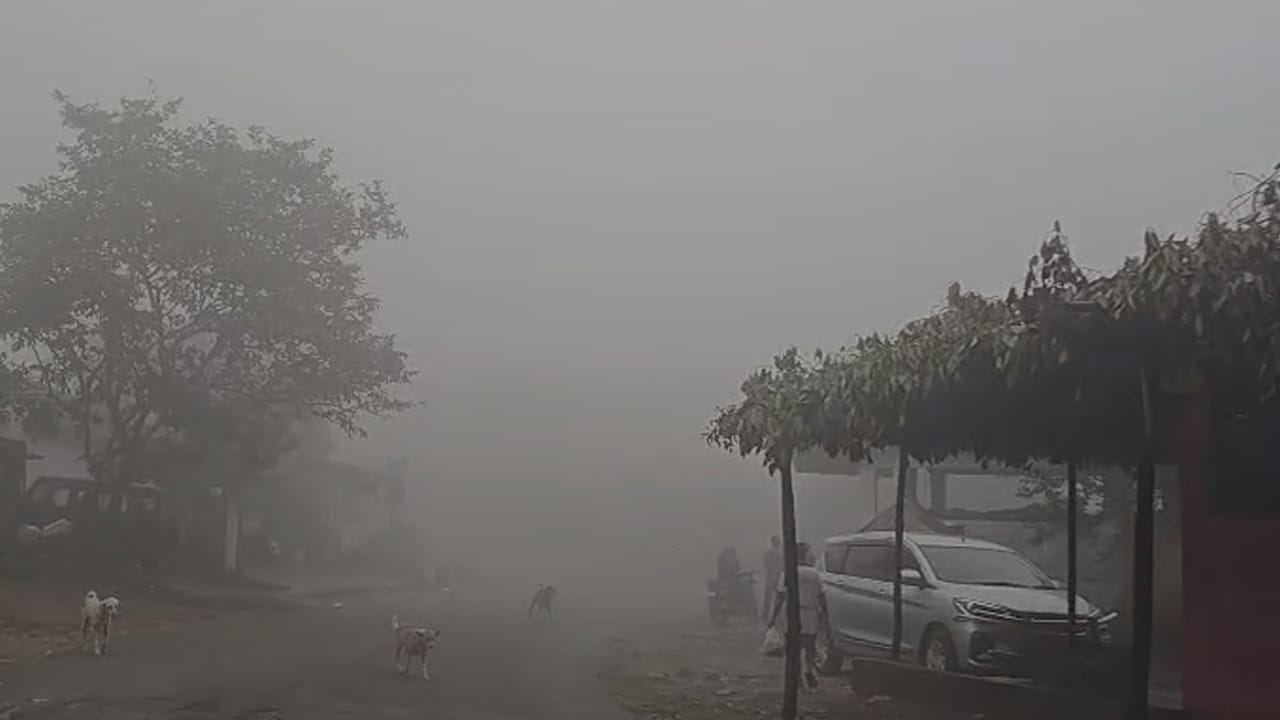 Araku 1