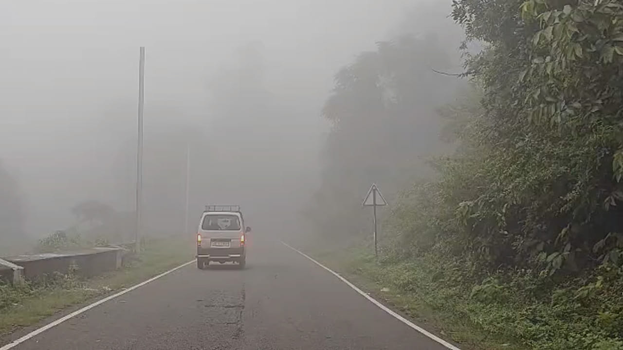 Araku 2