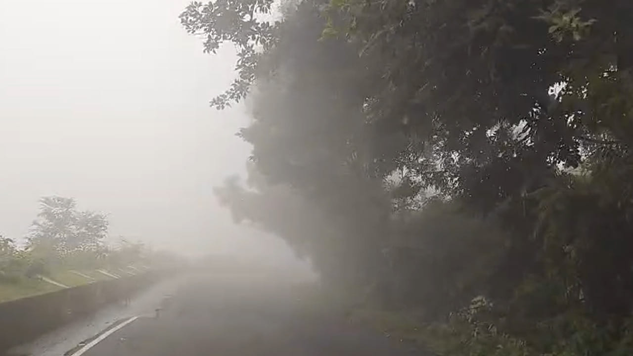 Araku 4