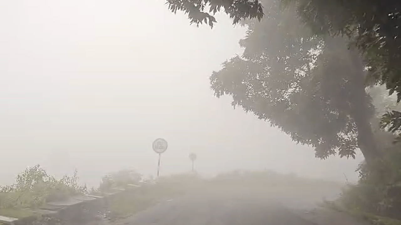 Araku 6