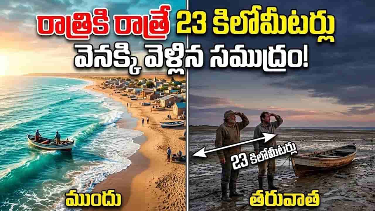 రాత్రికి రాత్రే 23 కి.మీ మాయమైన సముద్రం.. ప్రమాదానికి సంకేతం?