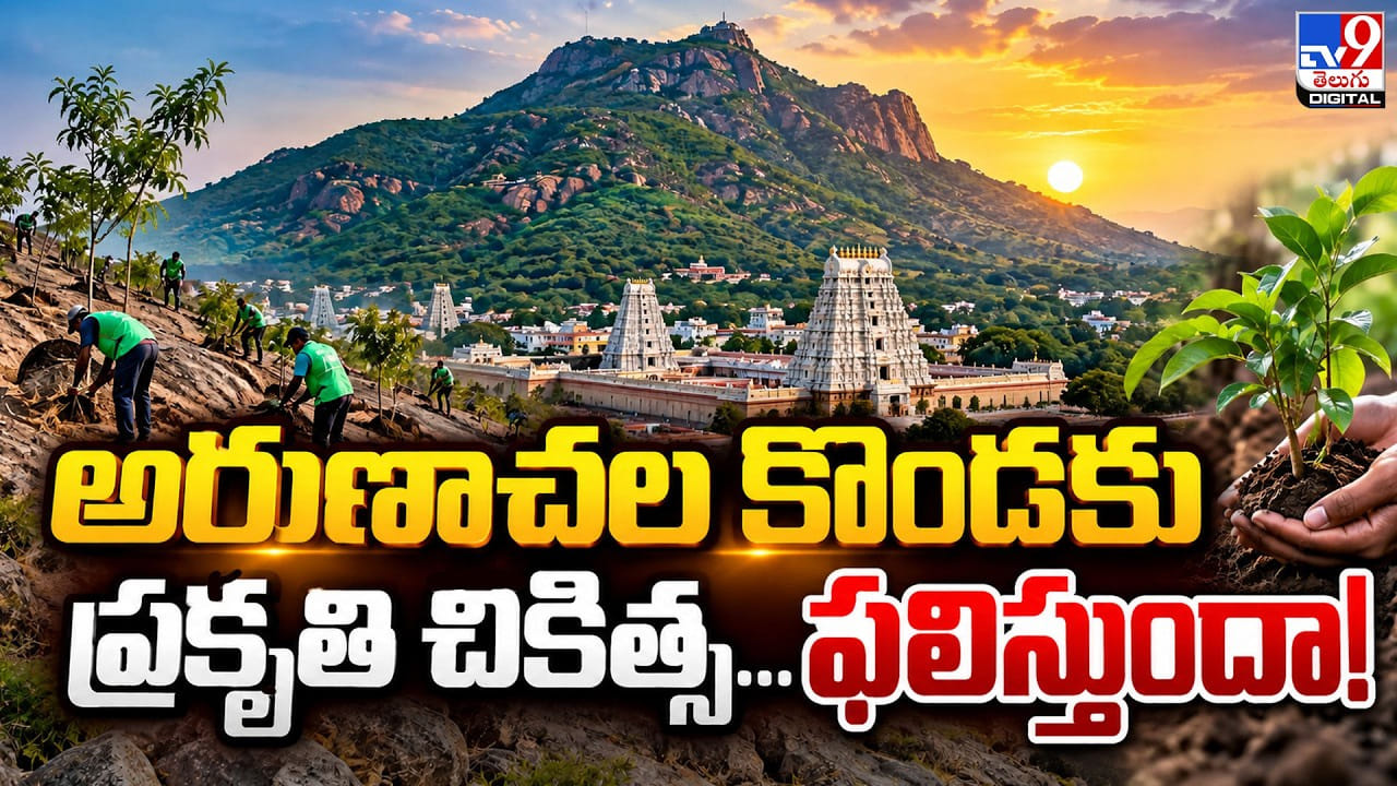 Arunachalam: అరుణాచల కొండకు ప్రకృతి చికిత్స.. ఫలిస్తుందా!