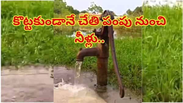 చేతి పంపు నుంచి ఊట నీరు..వైరల్ వీడియోపై AI వివరణ..! అసలు కారణం ఏం చెప్పిందో తెలుసా?