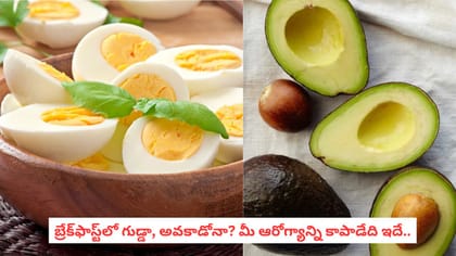 బ్రేక్‌ఫాస్ట్‌లో గుడ్డా, అవకాడోనా? మీ ఆరోగ్యాన్ని కాపాడేది ఇదే..