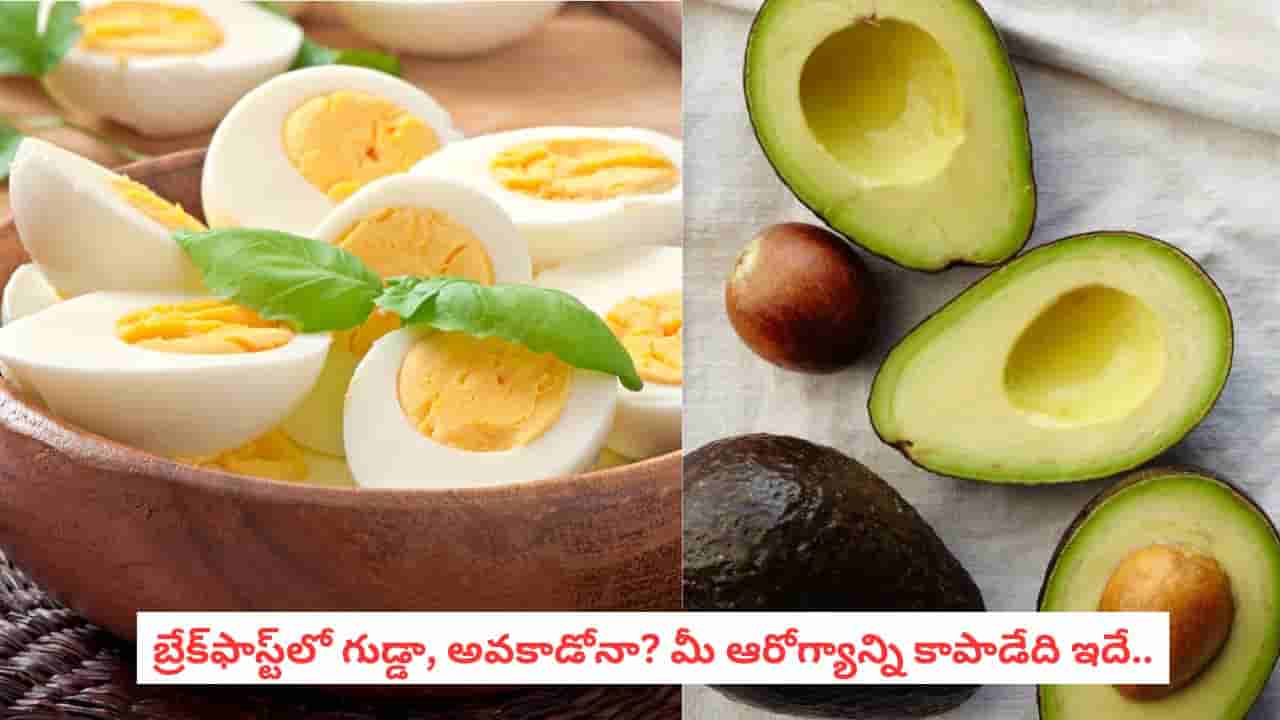 Avocado vs Egg: గుడ్డు vs అవకాడో.. ప్రోటీన్, ఫైబర్, హెల్తీ ఫ్యాట్స్లో ఏది ముందుందో తెలుసా?