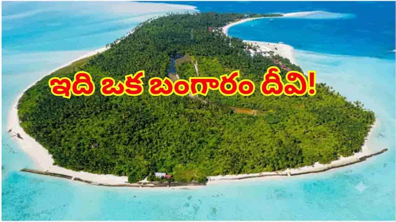 బంగారం దీవి.. మాల్దీవులను మర్చిపోయేలా చేసే అద్భుతం..! ఎక్కడో తెలిస్తే ఎగురుకుంటూ వెళ్తారు..
