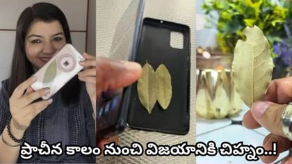 మొబైల్ కవర్‌లో బిర్యానీ ఆకు..! అదృష్టం, సంపద కోసం ఇలా..