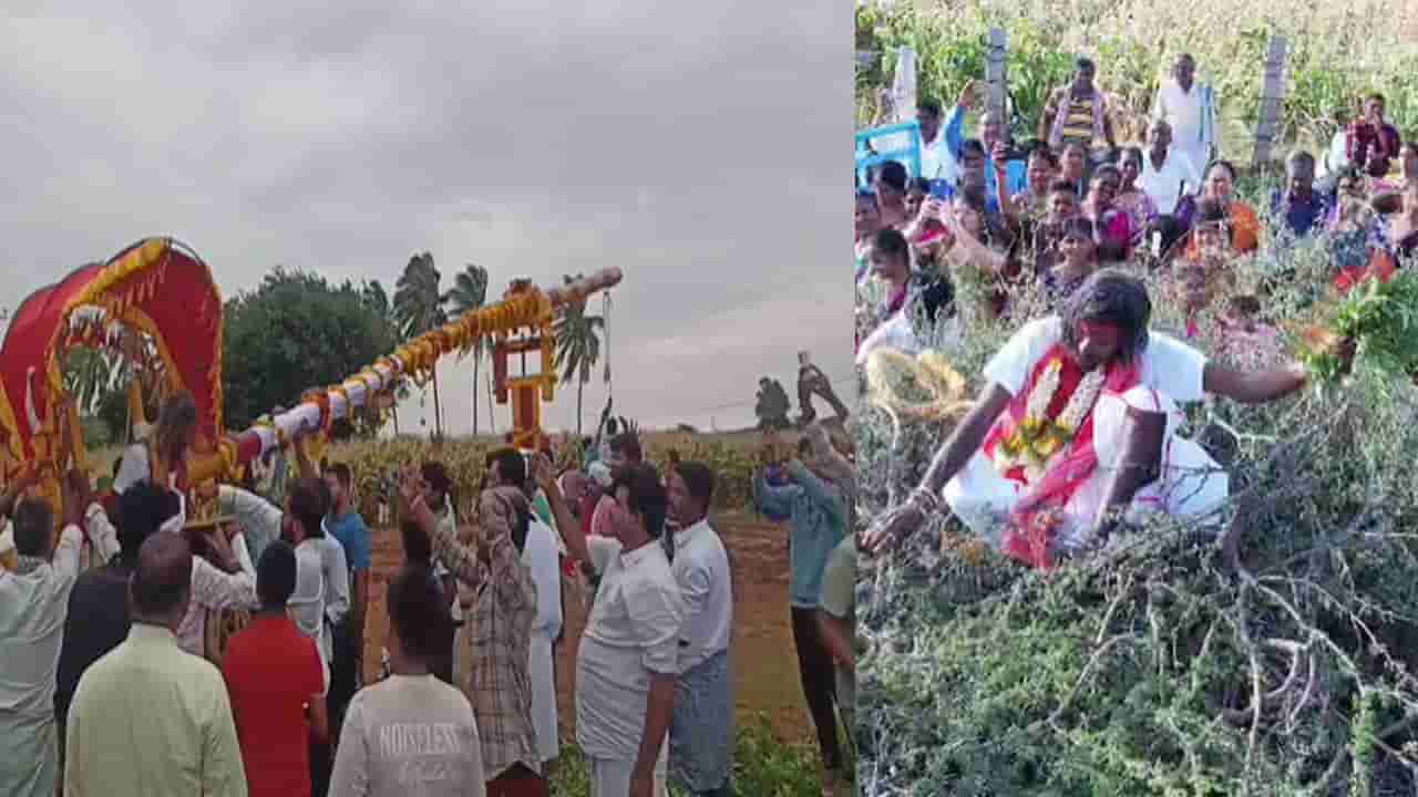 ముళ్లకంపపై పడుకుని పూజలు.. గాల్లో గుండ్రంగా తిరిగే పూజారి.. ఒళ్లు గగుర్పొడిచే మారెమ్మ జాతర!