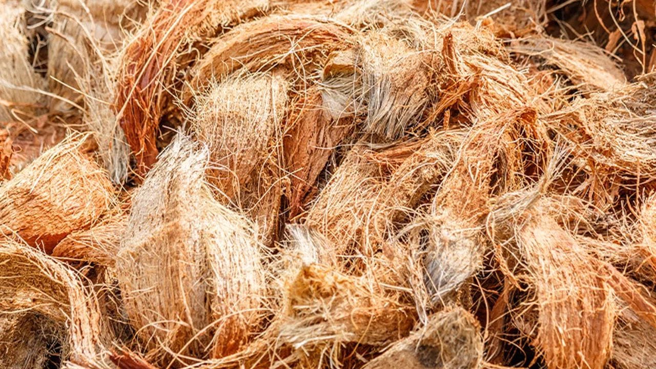 Benefits Of Coconut Coir (1)