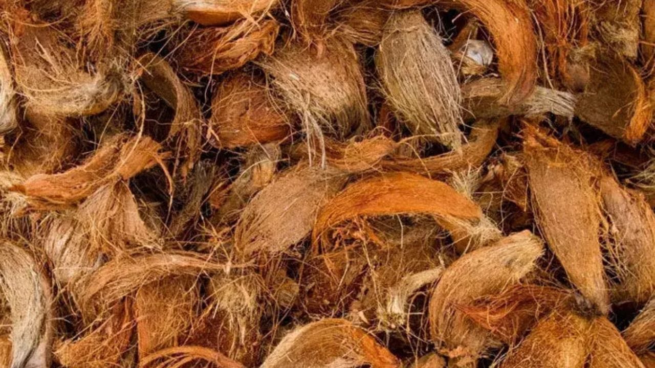 Benefits Of Coconut Coir (2)