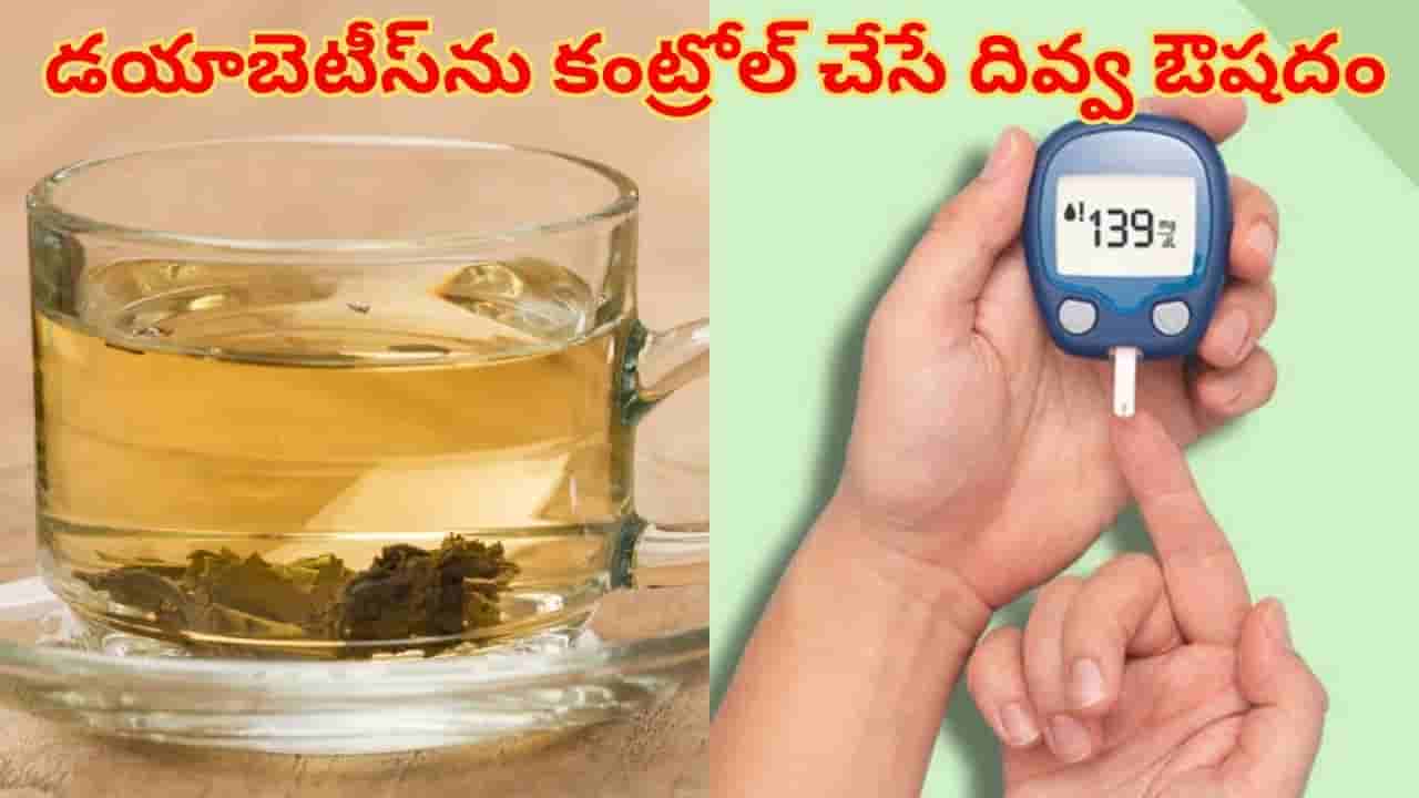 డయాబెటీస్ రోగులకు దివ్వ ఔషదం.. ఈ ఆకును మరిగించి తాగితే హాస్పిటల్కు వెళ్లే పనే ఉండదు!