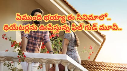 23 కోట్లతో తీస్తే 230 కోట్ల కలెక్షన్స్..