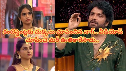 అందరికి చుక్కలు చూపించిన నాగ్.. వీడియోస్ చూపించి మరీ ఊతికారేసాడు.