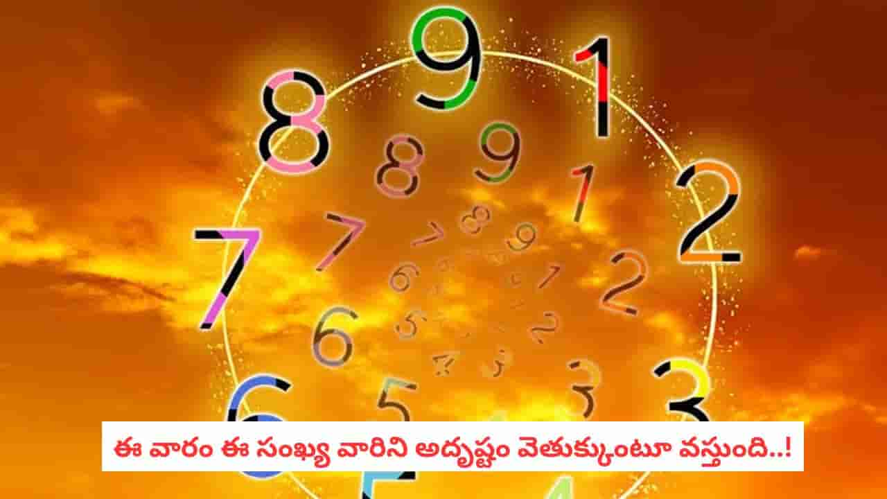 Numerology Predictions: నిర్లక్ష్యం వద్దు.. ఈ సంఖ్య వారికి ఈ వారం అప్రమత్తత అవసరం!