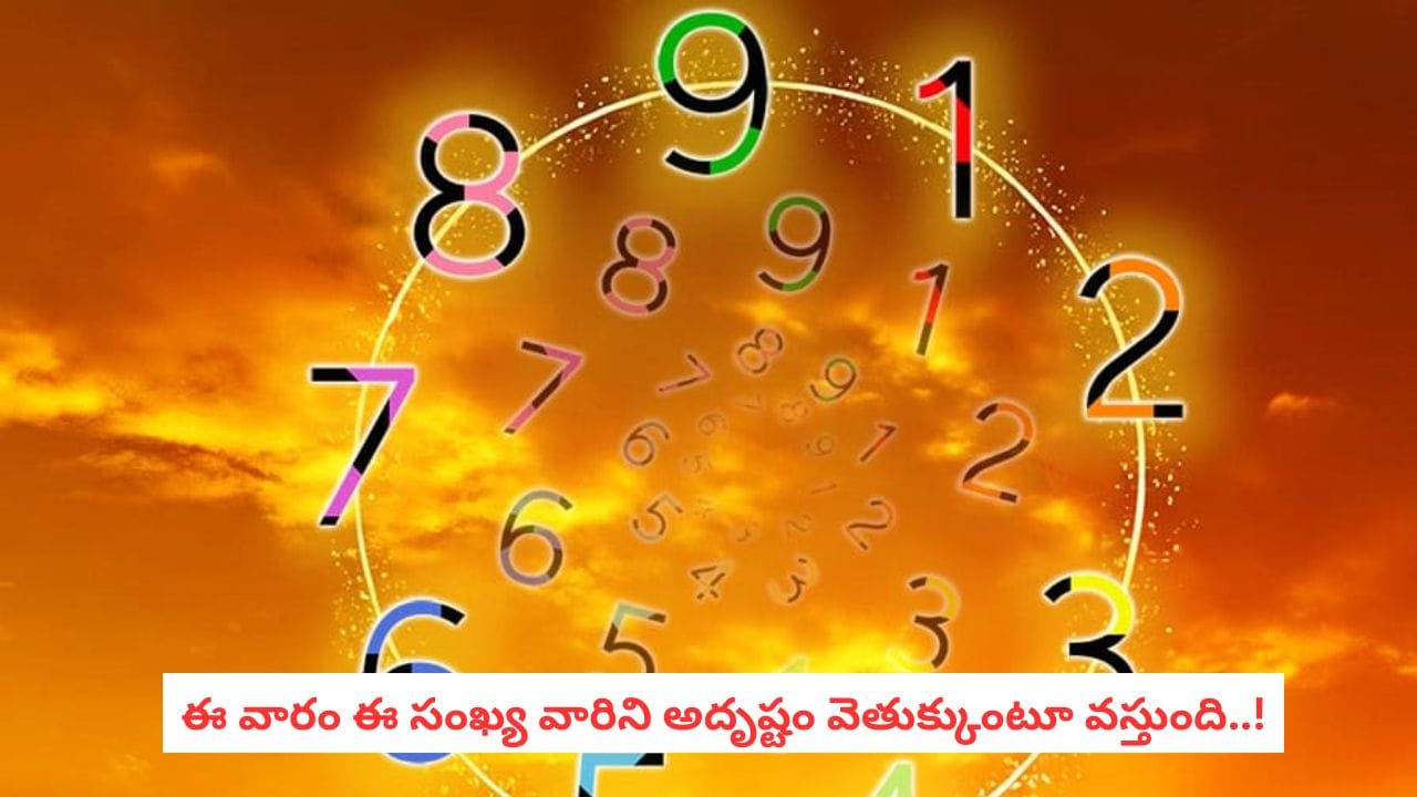 Numerology Predictions: నిర్లక్ష్యం వద్దు.. ఈ సంఖ్య వారికి ఈ వారం అప్రమత్తత అవసరం!