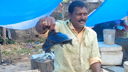 చేపల కోసం వల వేస్తే ఏం చిక్కిందో తెలుసా..?