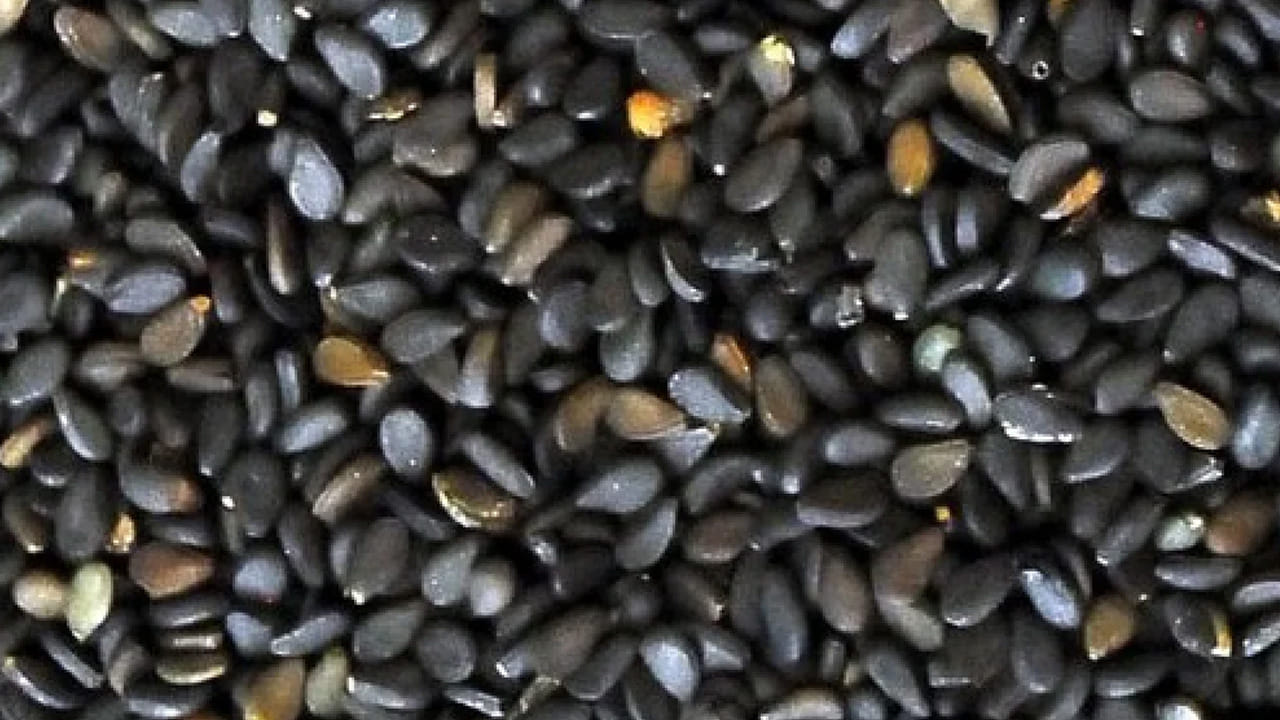Black Nuvulu 5