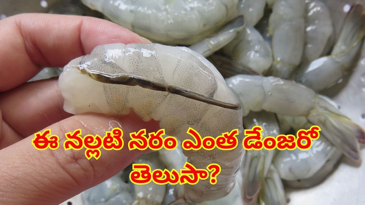 రొయ్యల వెనుక ఉన్న నల్లటి నరాన్ని ఎందుకు తొలగించాలి? ఆరోగ్యానికి కలిగే ముప్పు ఎంటో తెలిస్తే..