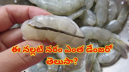 రొయ్యల వెనుక ఉన్న నల్లటి నరాన్ని ఎందుకు తొలగించాలి? ఆరోగ్యానికి