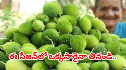 సీజన్ అయిపోతోంది ఇప్పుడే తినండి..