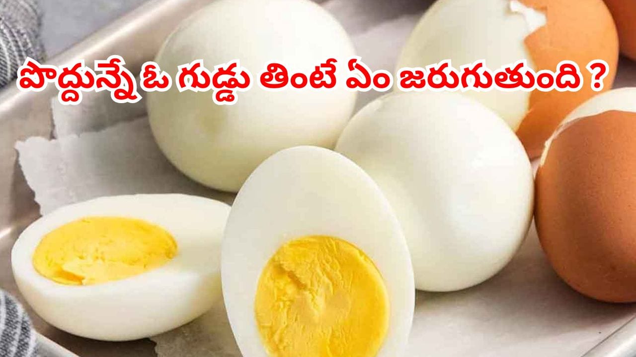 పొద్దున్నే ఒక గుడ్డు తింటే 100 ఏనుగుల బలం.. పెంకు ఈజీగా రావాలంటే మాత్రం..
