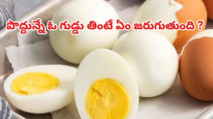 పొద్దున్నే ఒక గుడ్డు తింటే 100 ఏనుగుల బలం.. పెంకు ఈజీగా రావాలంటే