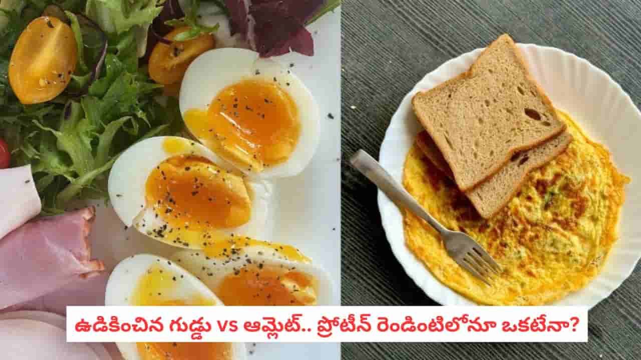 Boiled Egg vs Omelette: గుడ్డు తినేవారికి బిగ్ డౌట్.. ఉడికించినదా, ఆమ్లెటా? బరువు తగ్గాలంటే ఏది బెస్ట్?