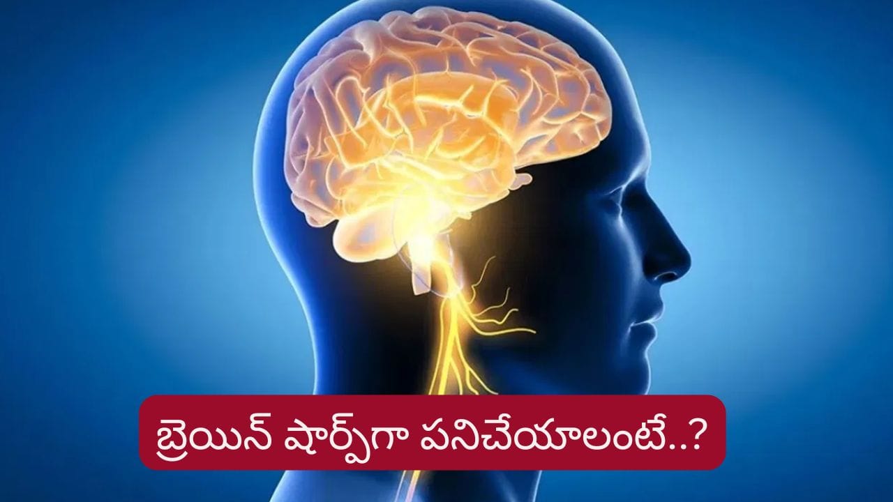 Brain Health: బ్రెయిన్ షార్ప్గా పనిచేయాలంటే..? మెదడు ఆరోగ్యంగా ఉండాలంటే..? – politics Brain Health: బ్రెయిన్ షార్ప్గా పనిచేయాలంటే..? మెదడు ఆరోగ్యంగా ఉండాలంటే..? – politics