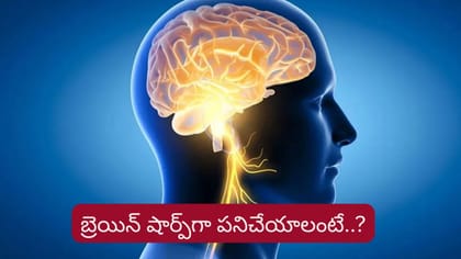 బ్రెయిన్ షార్ప్‌గా పనిచేయాలంటే..? మెదడు ఆరోగ్యంగా ఉండాలంటే..?