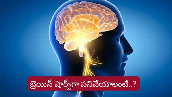Brain Health: బ్రెయిన్ షార్ప్గా పనిచేయాలంటే..? మెదడు ఆరోగ్యంగా ఉండాలంటే..?